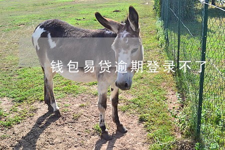 钱包易贷逾期登录不了 钱包易贷逾期登录不了