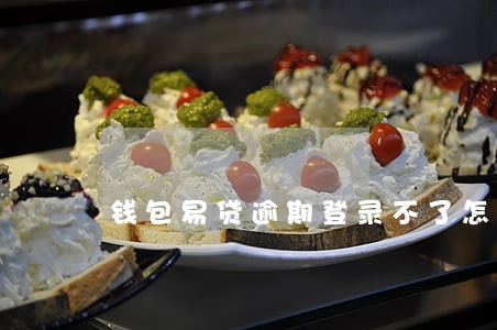 钱包易贷逾期登录不了怎么办 钱包易贷逾期登录不了怎么办