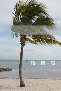 钱包易贷逾期能协商嘛 钱包易贷逾期能协商嘛