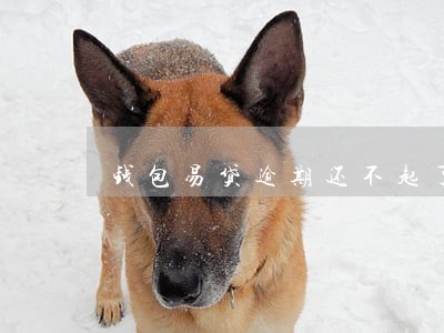 钱包易贷逾期还不起了 钱包易贷逾期还不起了