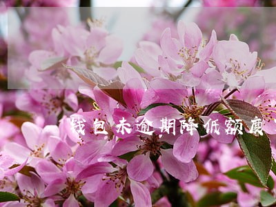 钱包未逾期降低额度了