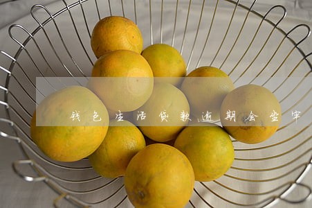 钱包生活贷款逾期会坐牢吗 钱包生活贷款逾期会坐牢吗