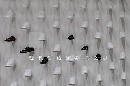 钱包生活逾期怎么办