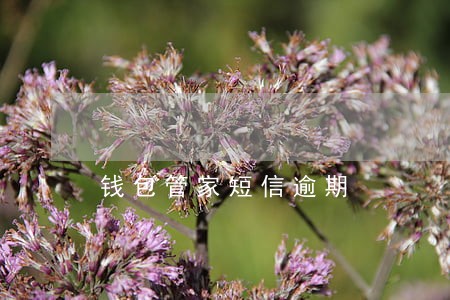 钱包管家短信逾期 钱包管家短信逾期