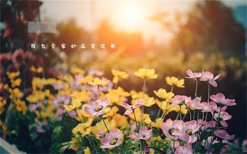 钱包管家秒还贷逾期 钱包管家秒还贷逾期