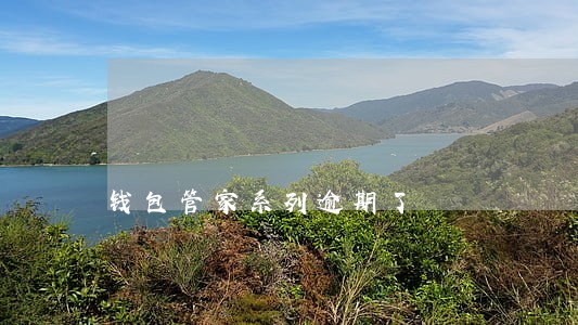 钱包管家系列逾期了 钱包管家系列逾期了