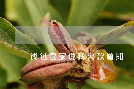 钱包管家说我欠款逾期 钱包管家说我欠款逾期