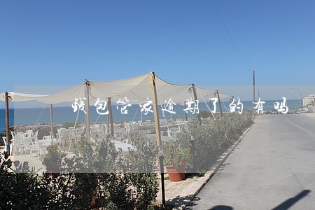 钱包管家逾期了的有吗 钱包管家逾期了的有吗
