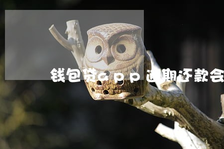 钱包贷app逾期还款会怎样 钱包贷app逾期还款会怎样