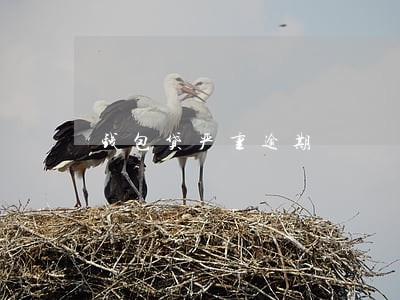 钱包贷严重逾期 钱包贷严重逾期