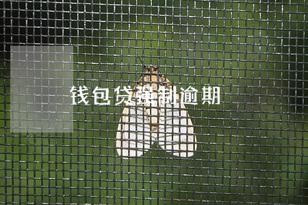 钱包贷强制逾期 钱包贷强制逾期