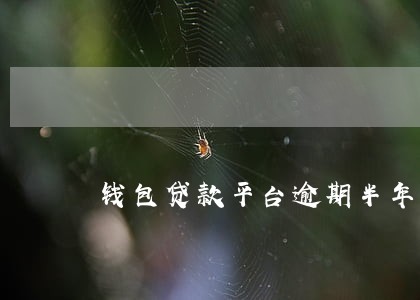 钱包贷款平台逾期半年还不起 钱包贷款平台逾期半年还不起