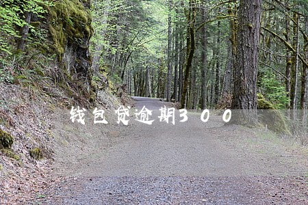 钱包贷逾期300 钱包贷逾期300