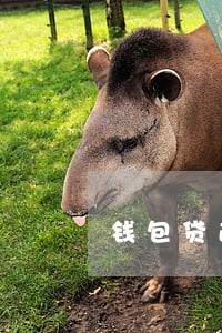 钱包贷逾期7天会怎样 钱包贷逾期7天会怎样