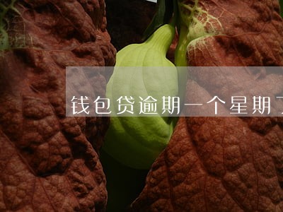钱包贷逾期一个星期了 钱包贷逾期一个星期了