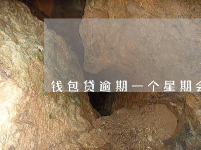 钱包贷逾期一个星期会怎么样 钱包贷逾期一个星期会怎么样