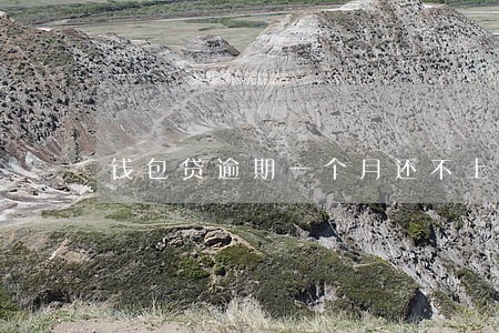 钱包贷逾期一个月还不上怎么办 钱包贷逾期一个月还不上怎么办