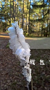 钱包贷逾期一天利息吗 钱包贷逾期一天利息吗