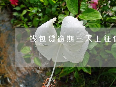 钱包贷逾期三天上征信 钱包贷逾期三天上征信