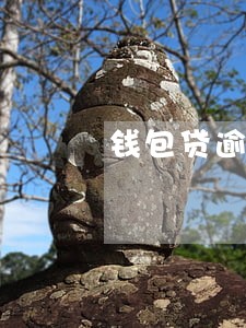 钱包贷逾期不还了 钱包贷逾期不还了
