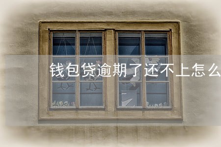 钱包贷逾期了还不上怎么办 钱包贷逾期了还不上怎么办