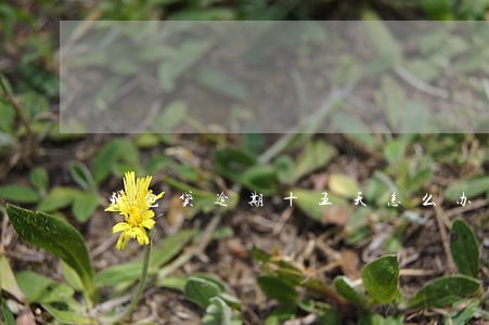 钱包贷逾期十五天怎么办 钱包贷逾期十五天怎么办