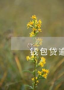 钱包贷逾期协商 钱包贷逾期协商