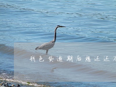 钱包贷逾期后想还还不了 钱包贷逾期后想还还不了