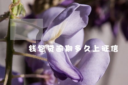 钱包贷逾期多久上征信 钱包贷逾期多久上征信