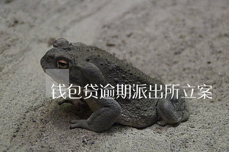 钱包贷逾期派出所立案 钱包贷逾期派出所立案