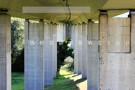 钱包贷逾期滞纳金300 钱包贷逾期滞纳金300