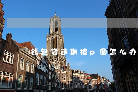 钱包贷逾期被p图怎么办 钱包贷逾期被p图怎么办