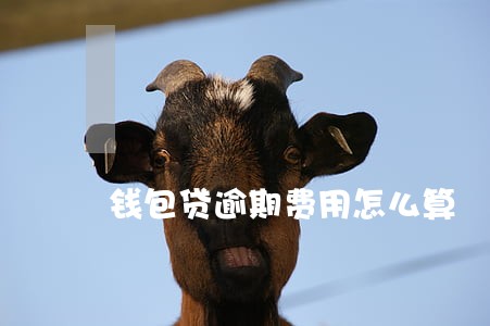 钱包贷逾期费用怎么算