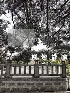 钱包贷逾期过还能 钱包贷逾期过还能