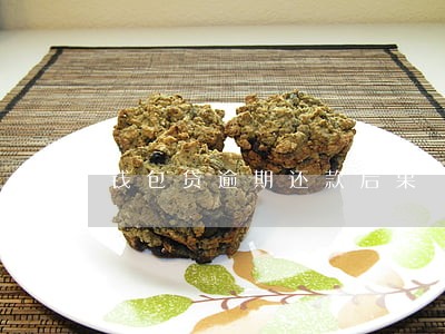 钱包贷逾期还款后果 钱包贷逾期还款后果