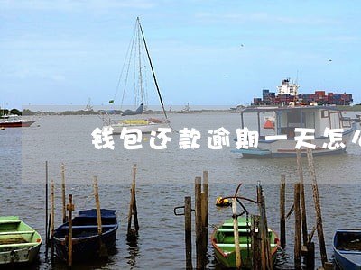 钱包还款逾期一天怎么样 钱包还款逾期一天怎么样