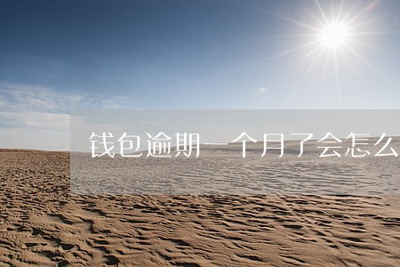 钱包逾期一个月了会怎么样 钱包逾期一个月了会怎么样