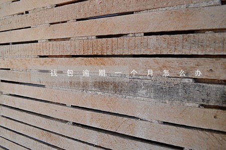钱包逾期一个月怎么办 钱包逾期一个月怎么办