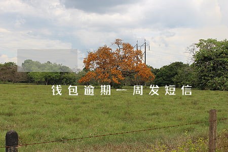 钱包逾期一周发短信 钱包逾期一周发短信