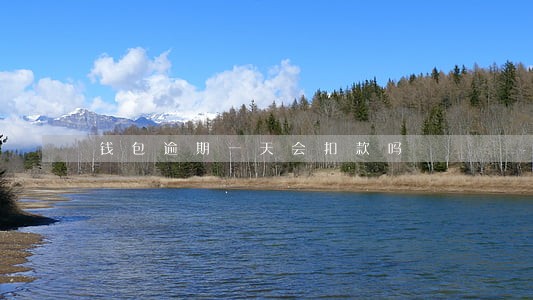 钱包逾期一天会扣款吗 钱包逾期一天会扣款吗