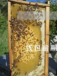 钱包逾期一天可以吗 钱包逾期一天可以吗