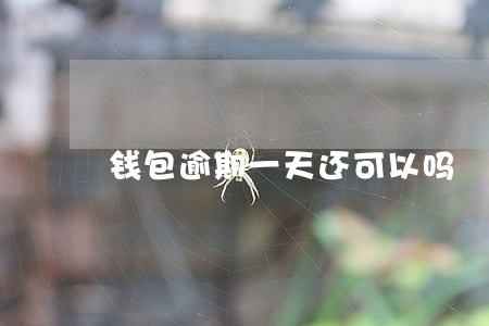 钱包逾期一天还可以吗 钱包逾期一天还可以吗