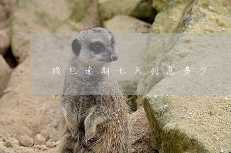 钱包逾期七天利息多少 钱包逾期七天利息多少