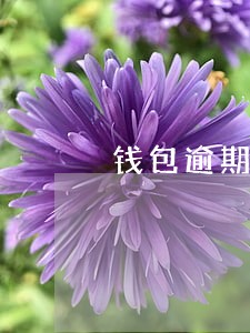 钱包逾期三天 钱包逾期三天