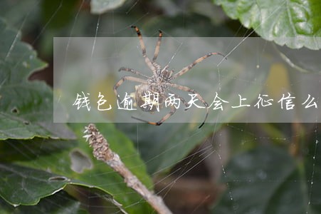 钱包逾期两天会上征信么 钱包逾期两天会上征信么