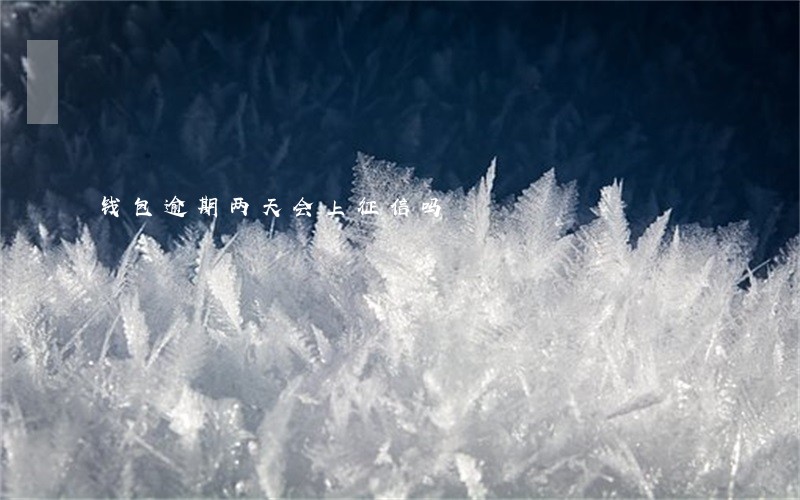 钱包逾期两天会上征信吗 钱包逾期两天会上征信吗