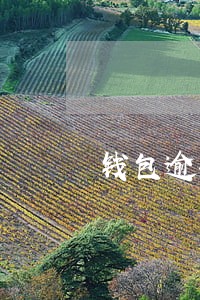 钱包逾期了会上征信吗 钱包逾期了会上征信吗