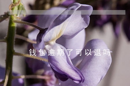 钱包逾期了可以退吗 钱包逾期了可以退吗