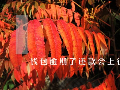 钱包逾期了还款会上征信吗 钱包逾期了还款会上征信吗