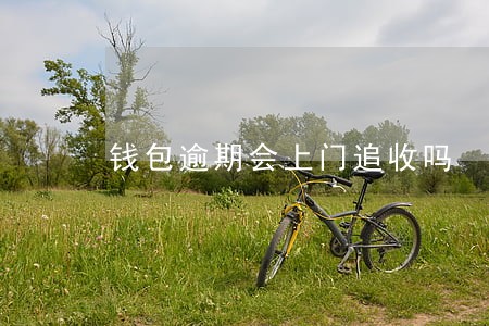 钱包逾期会上门追收吗 钱包逾期会上门追收吗